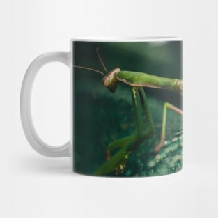 Mantis Mug